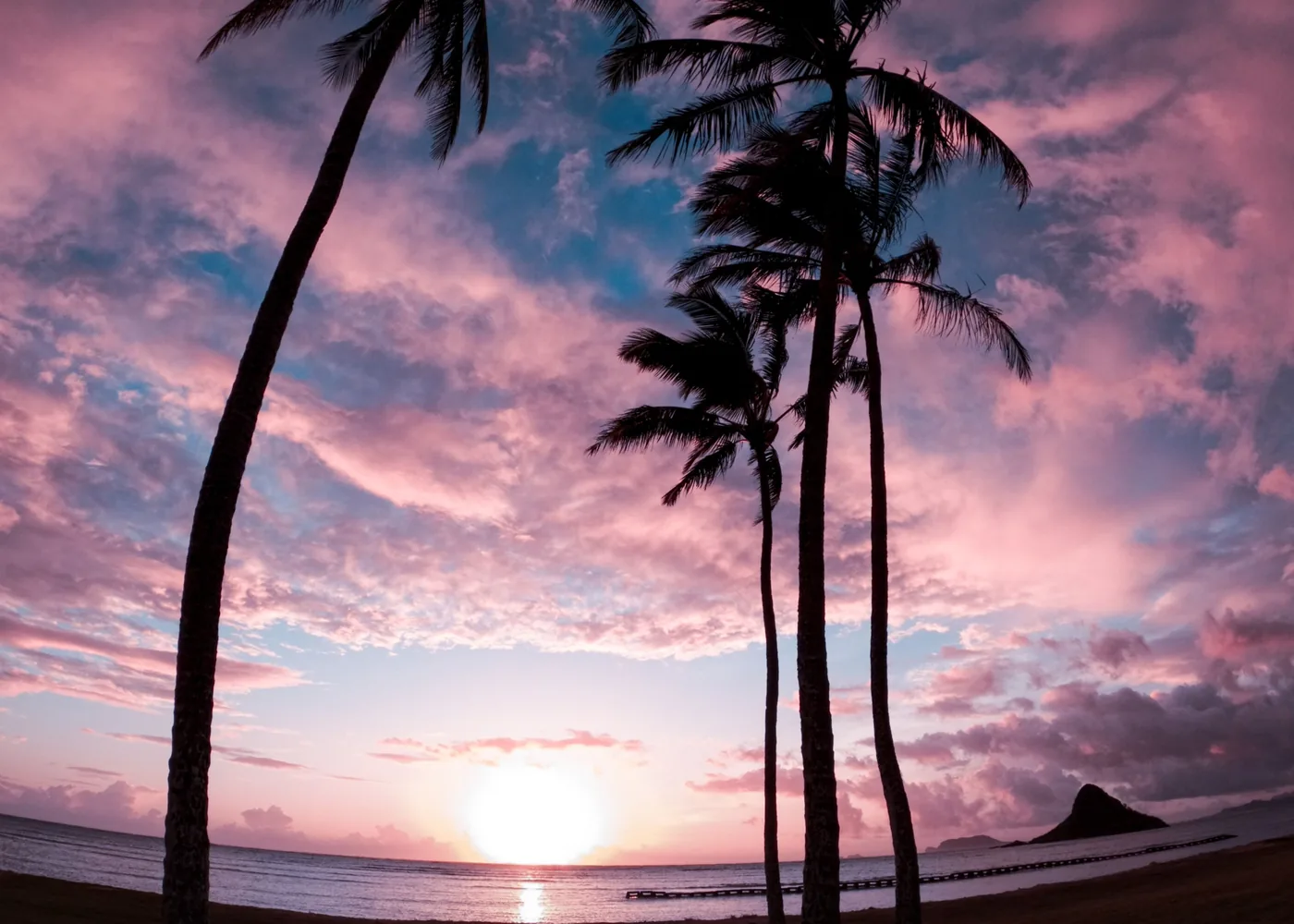 Silhouetted palm trees against a pink and blue Hawaiian sunset sky over the ocean (representative photograph of an Oahu evening, not Kapolei itself)
